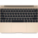 Notebook gold