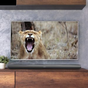Philips Fidelio B8 Soundbar